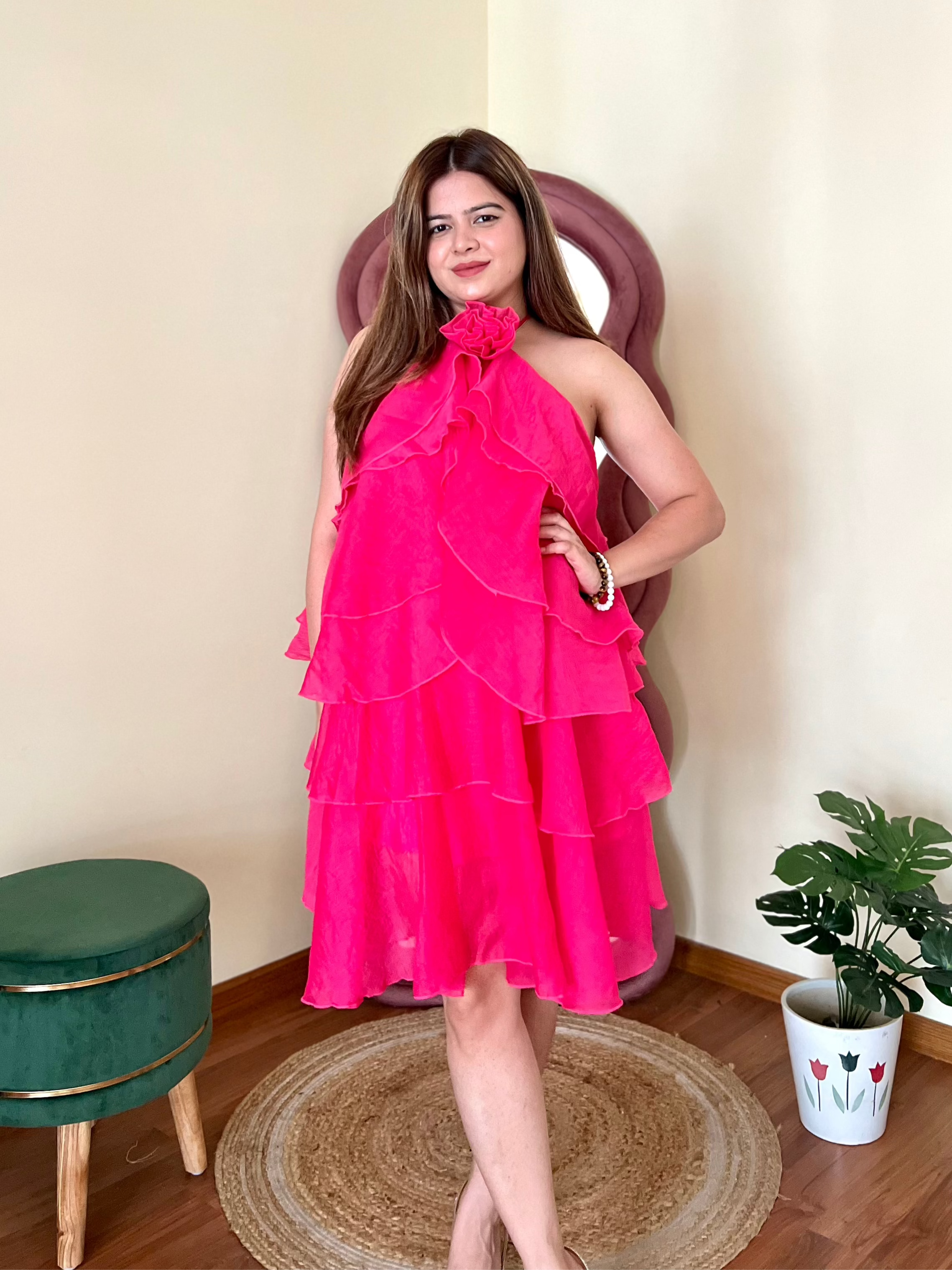 WHIMSY ROSE DRESS