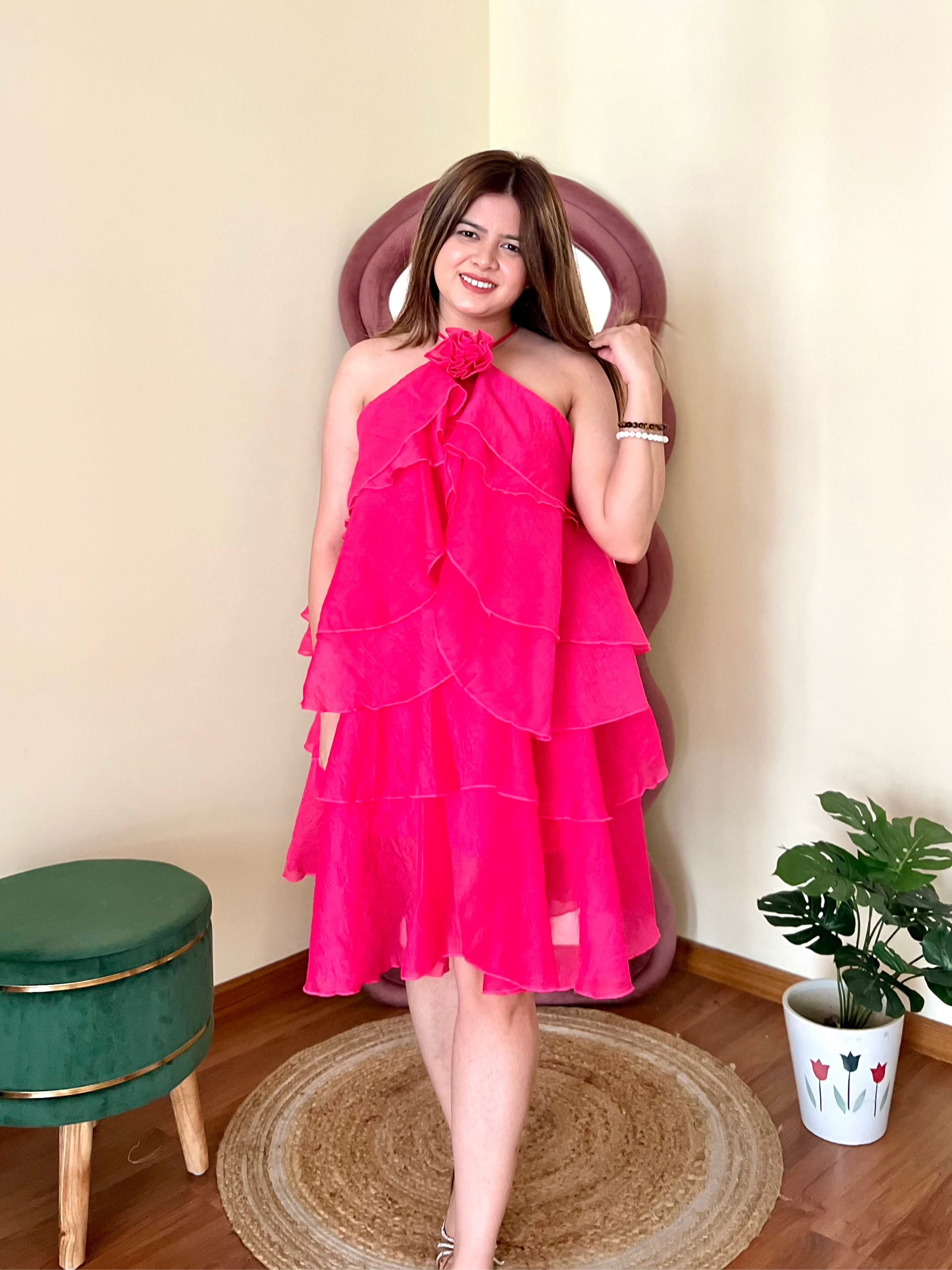 WHIMSY ROSE DRESS