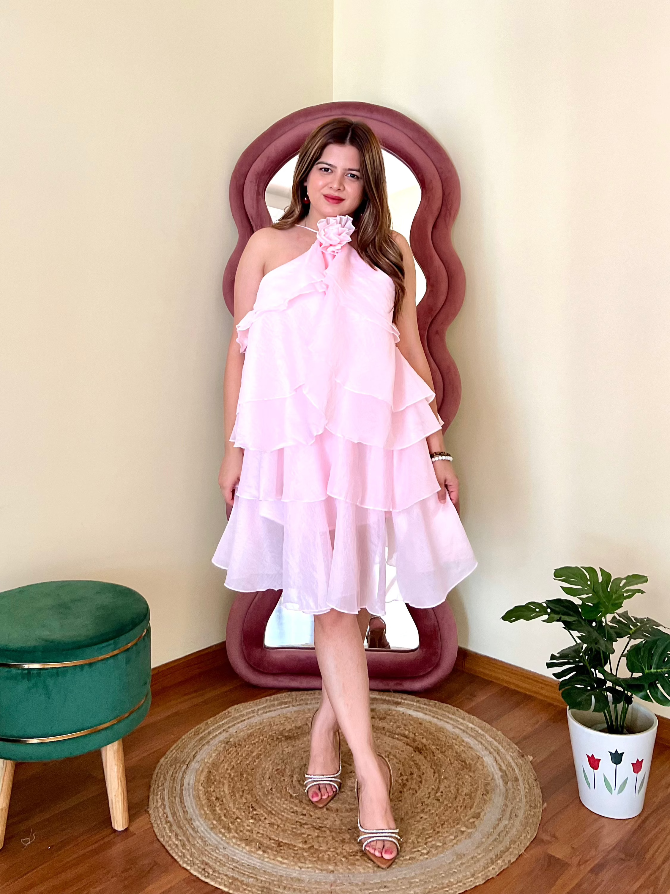 WHIMSY ROSE DRESS