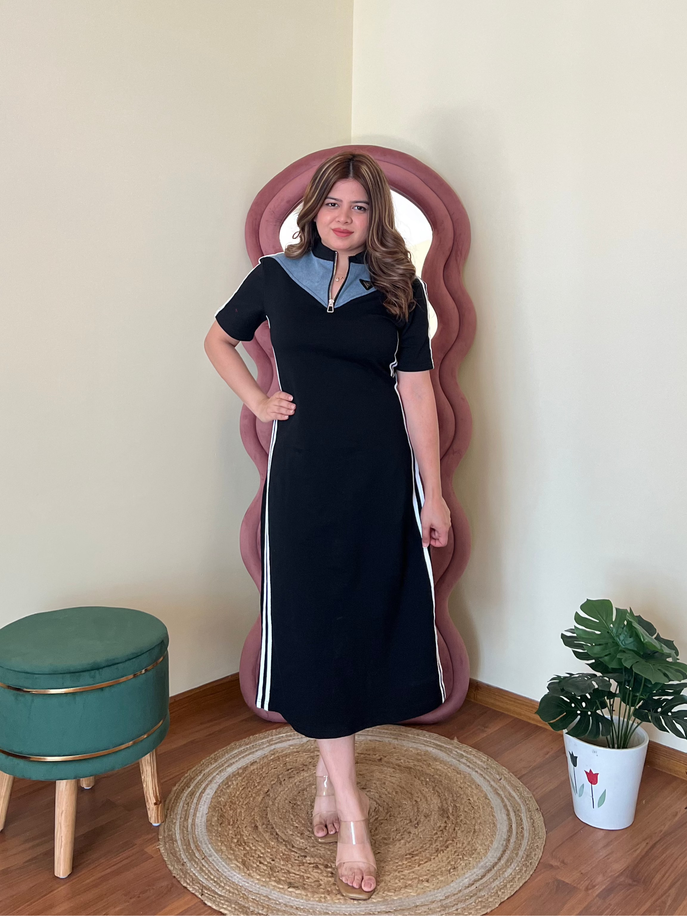 ALEXANDER DENIM DRESS