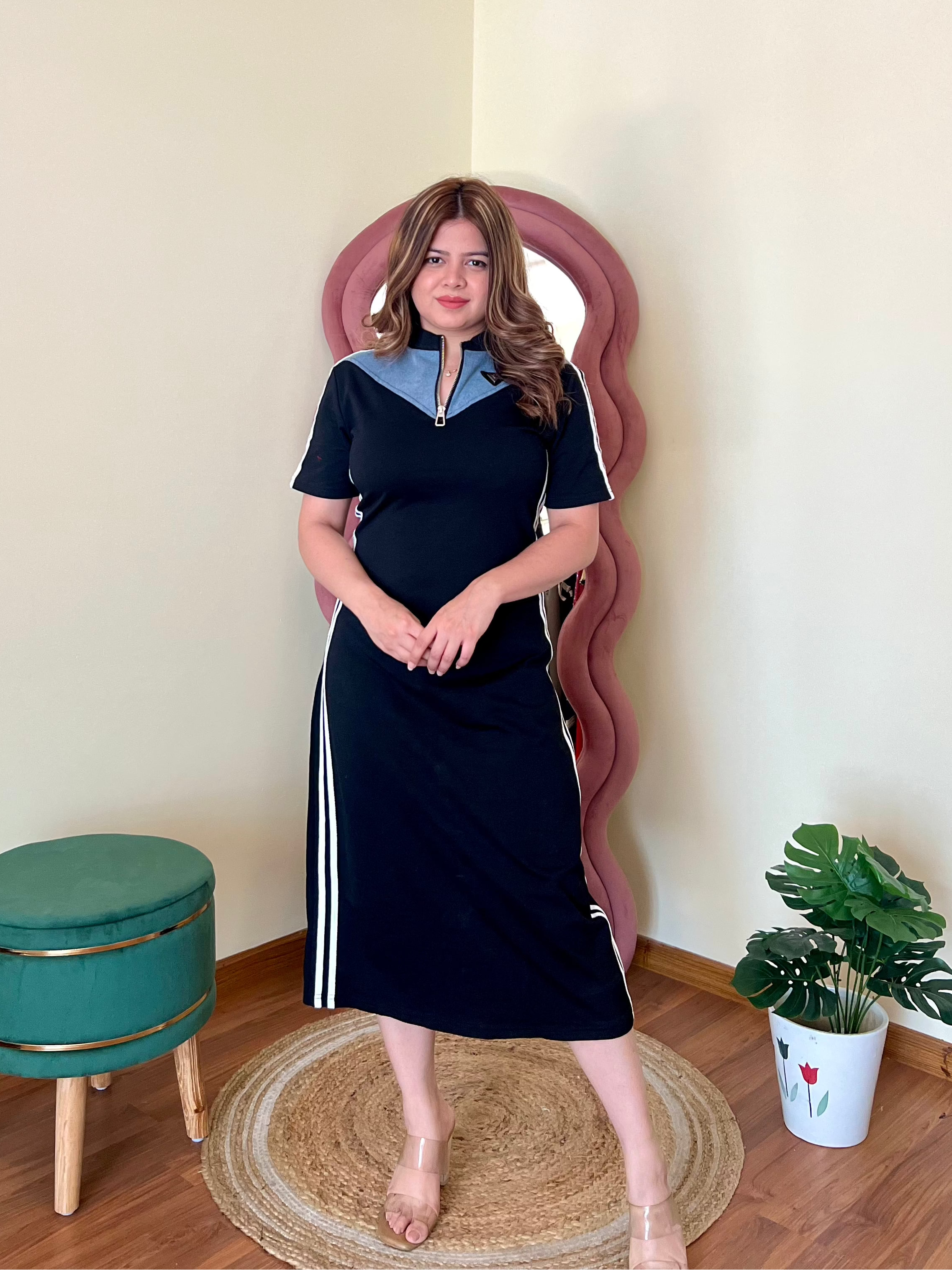 ALEXANDER DENIM DRESS