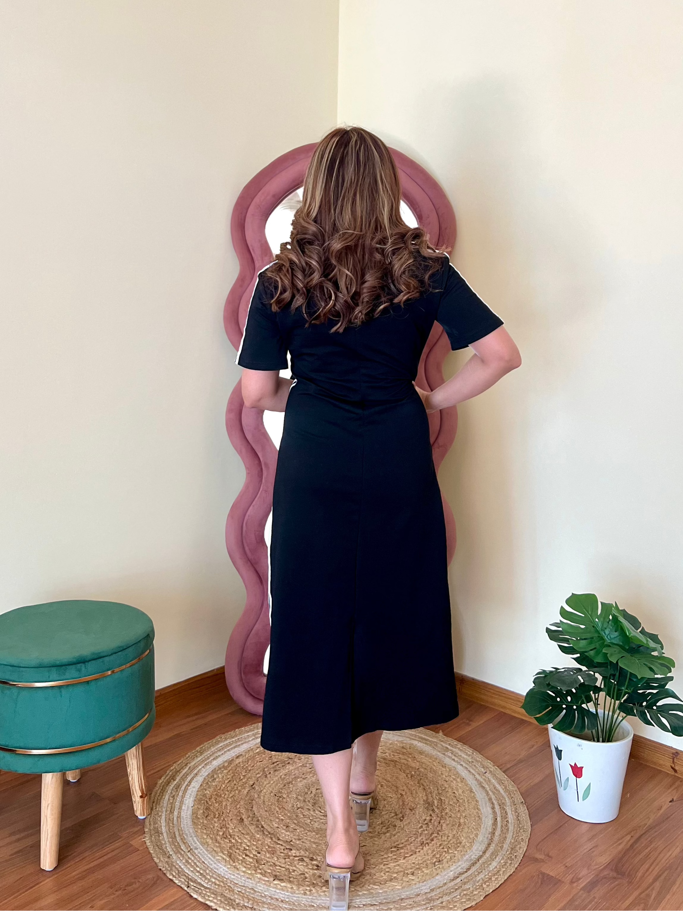 ALEXANDER DENIM DRESS