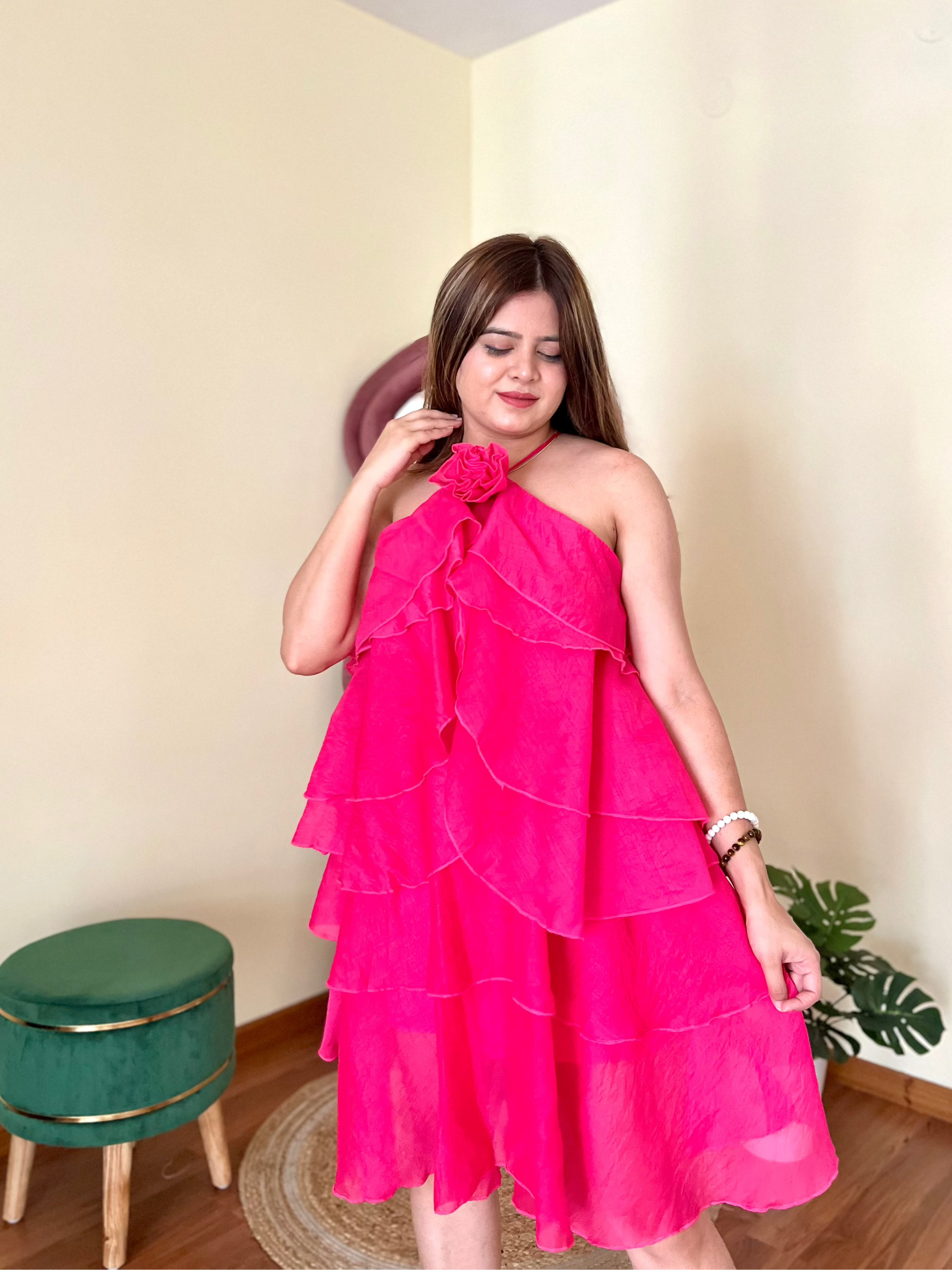 WHIMSY ROSE DRESS