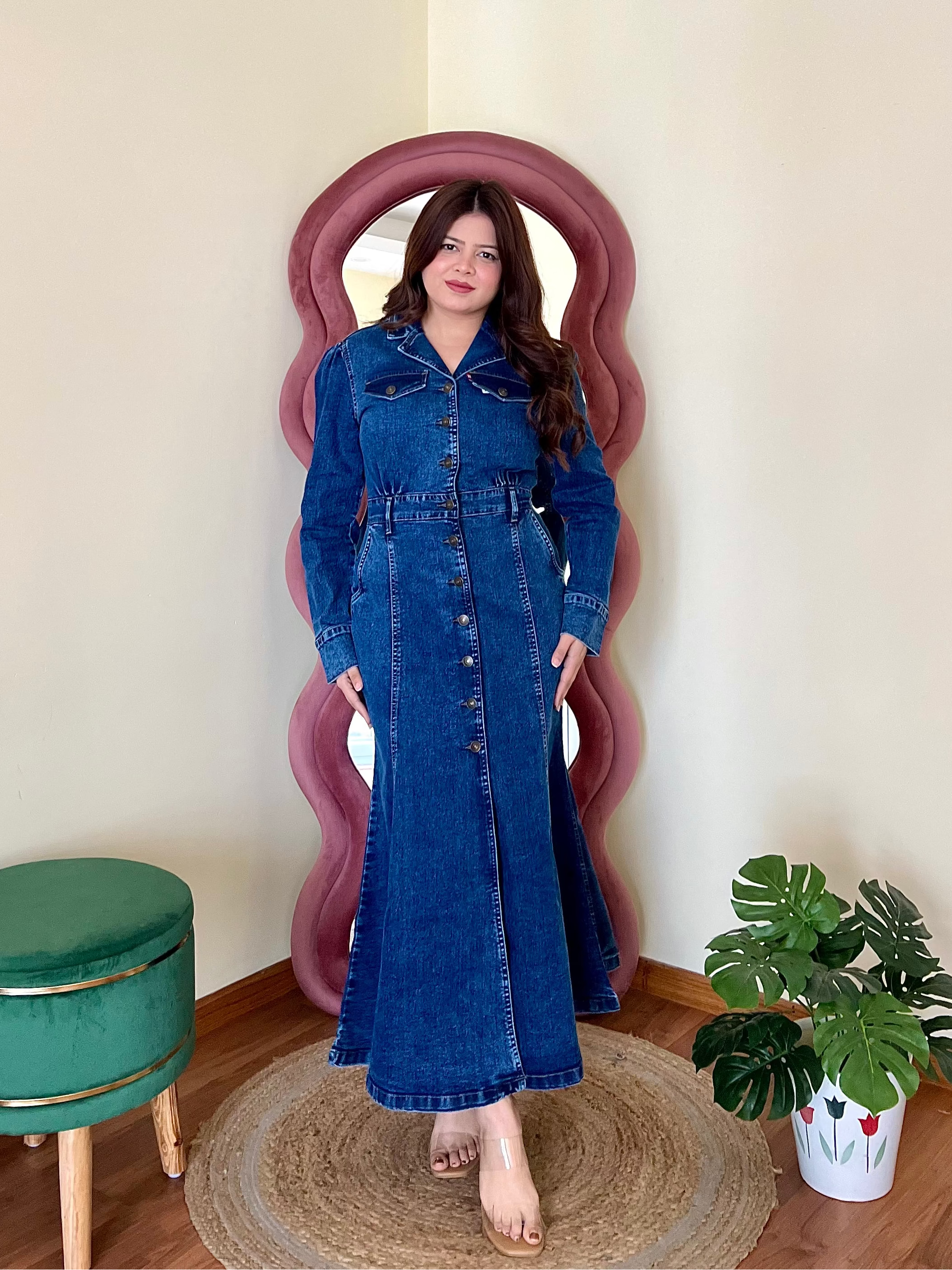 SILVIYA DENIM DRESS