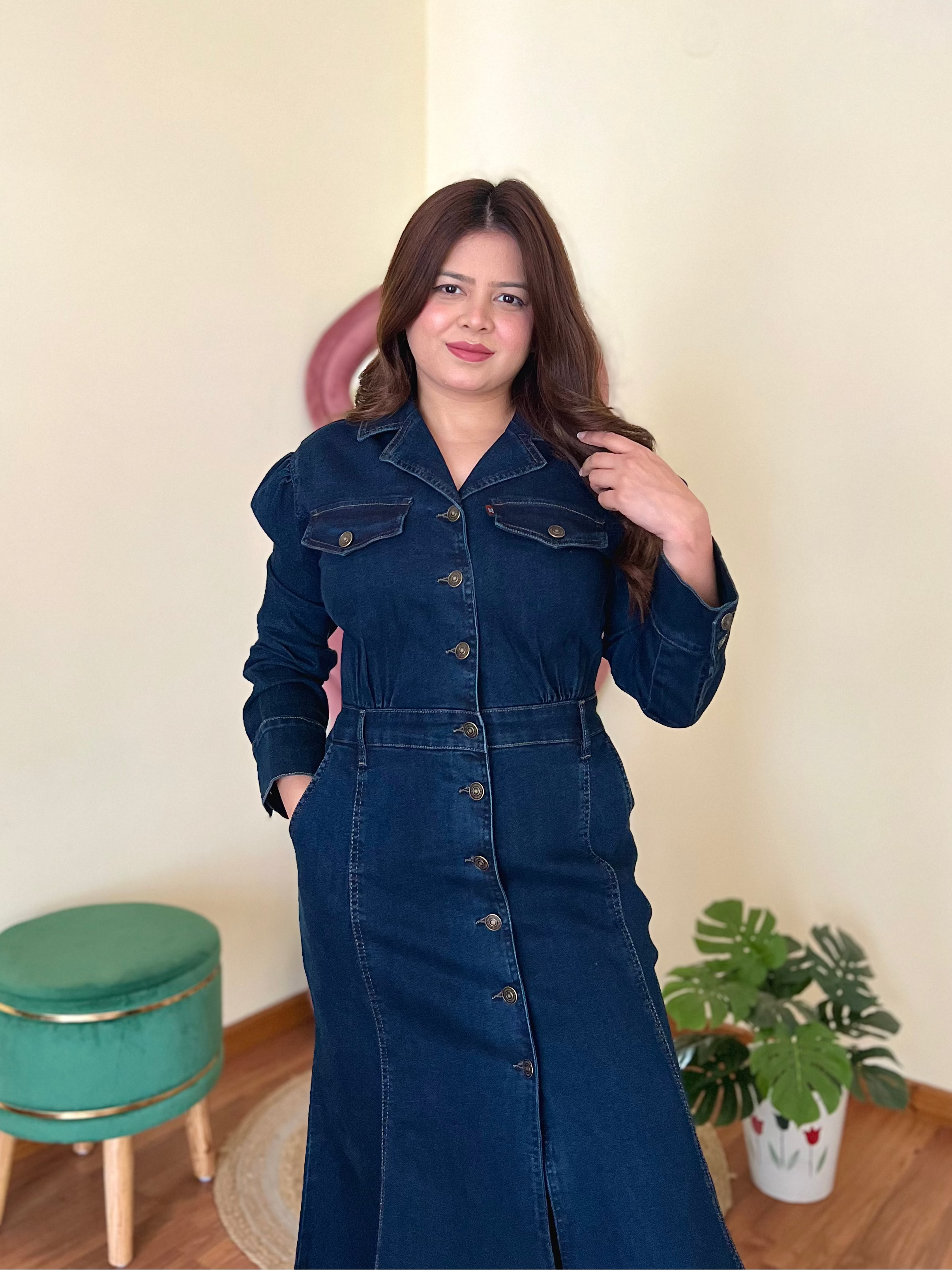 SILVIYA DENIM DRESS